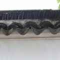 IMG_6600.JPG